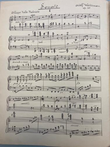 Sonate op. 20